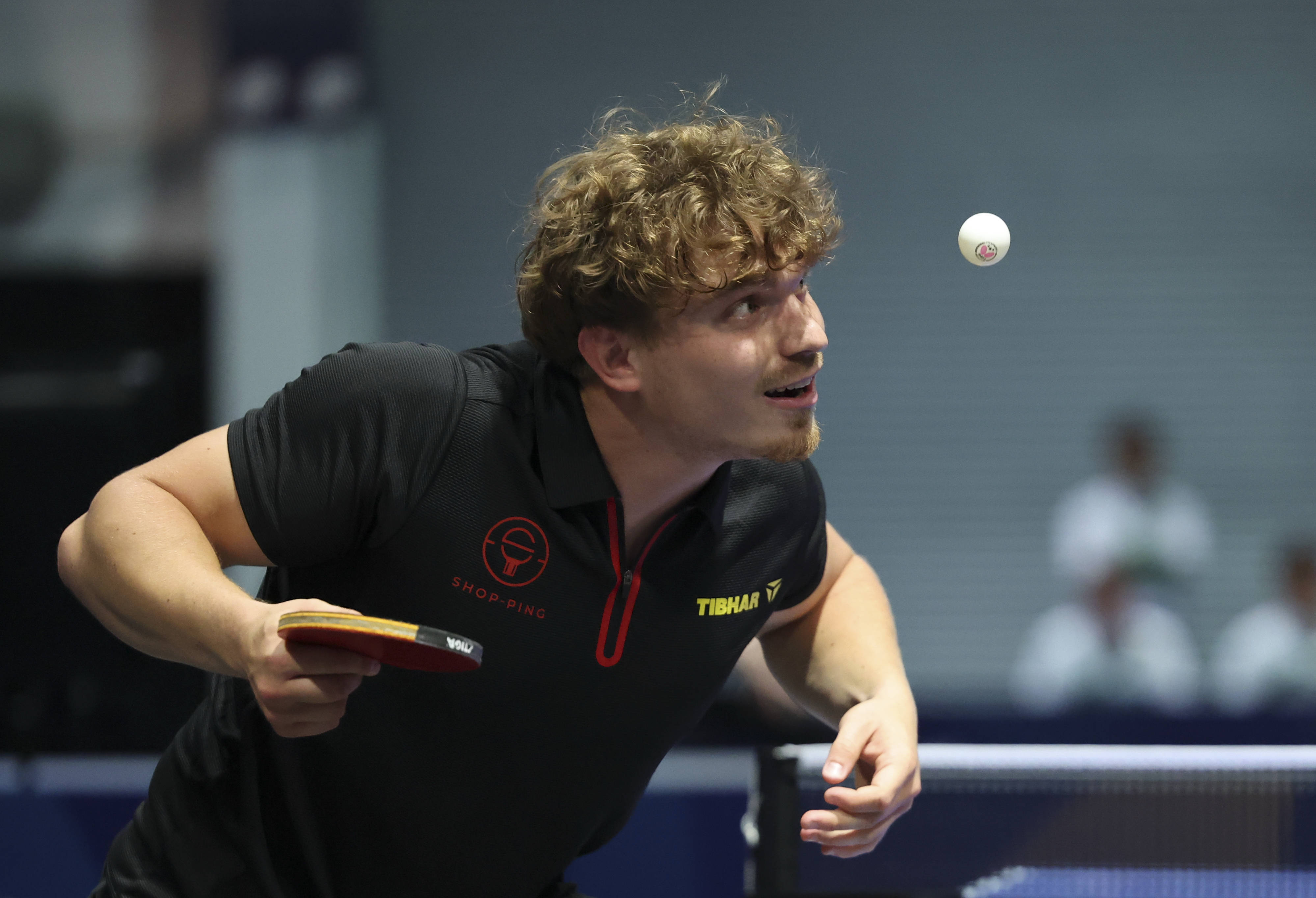 关于比利时乒乓球队横扫波兰乒乓球队,波尔完成帽子戏法的信息 关于比利时乒乓球队横扫波兰乒乓球队,波尔完成帽子戏法的信息