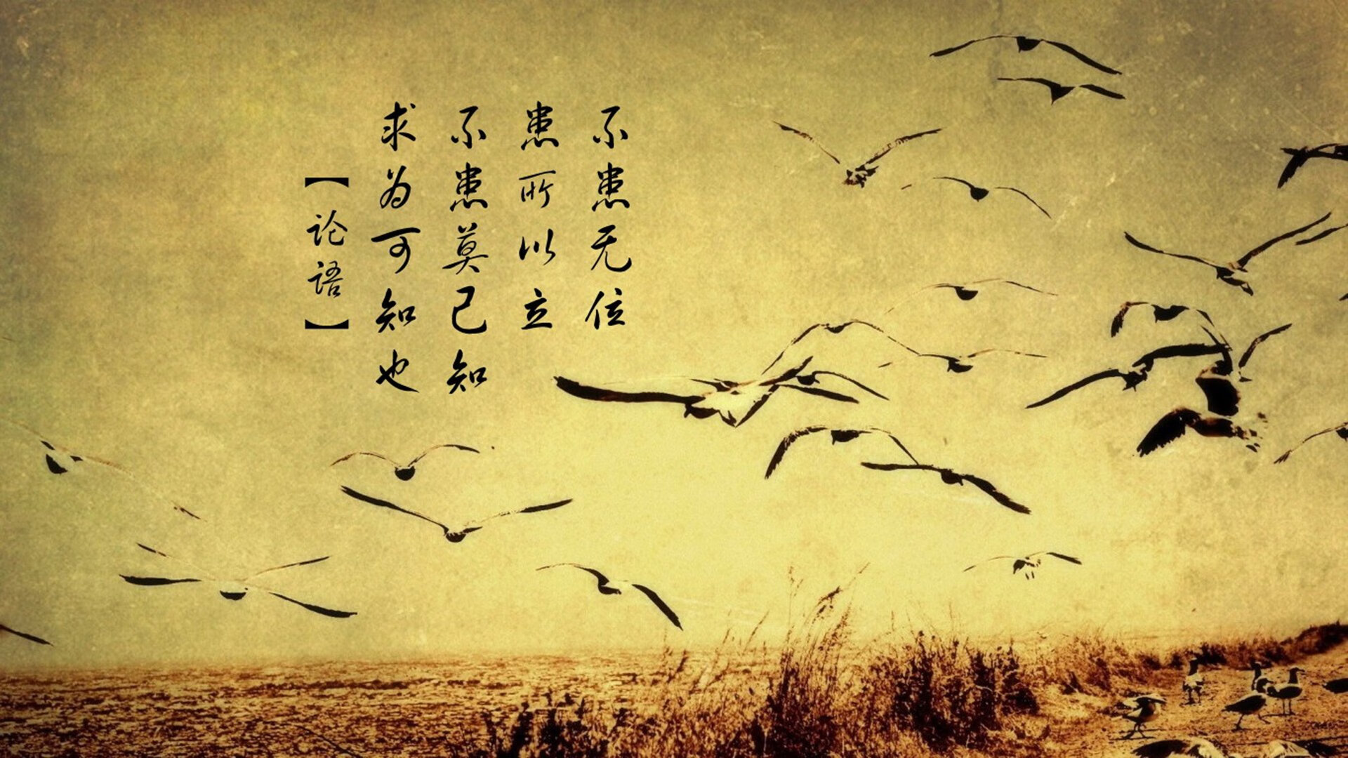 街道狂飙与绿茵奇迹，F1上海站焦点战与浙江队亚冠掘金夜