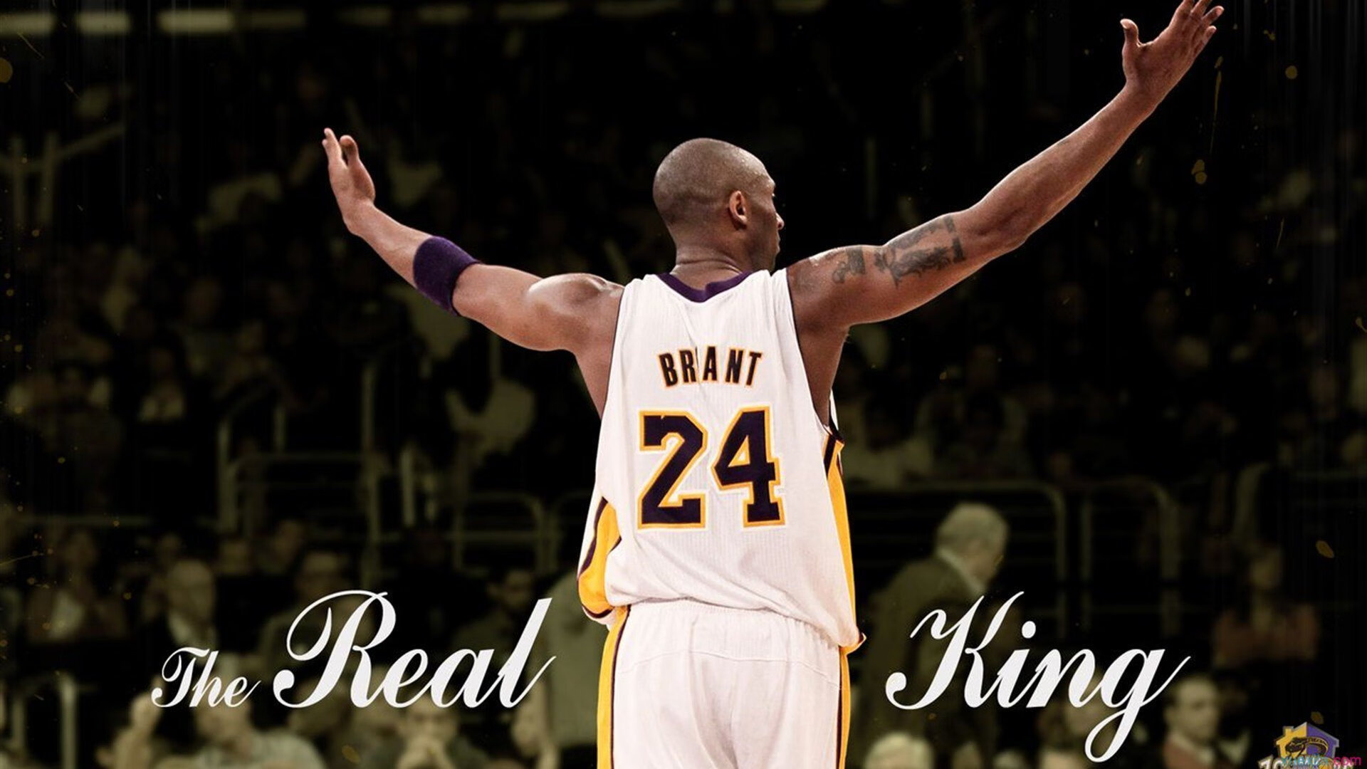 北欧风暴席卷亚洲之光，马琳战术魔法下的丹麦碾压日本启示录